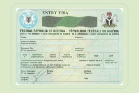Tinubu didn’t stop five-year visa for US citizens, says presidency