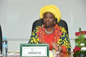 Amaechi's wife denies Wike's claim she receives N4bn from NDDC monthly