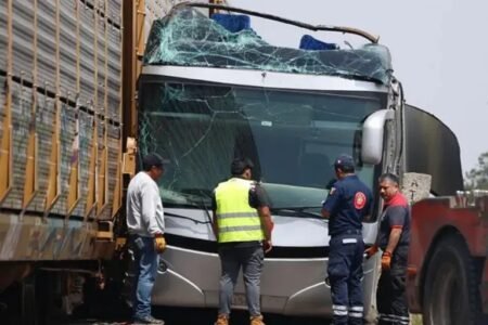 No fewer than 10 people have been killed and more than 40 injured after a freight train crashed into a double-decker bus in central Mexico, authorities have said.